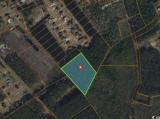 Highway 905 A PARCEL 471, Conway, SC 29526