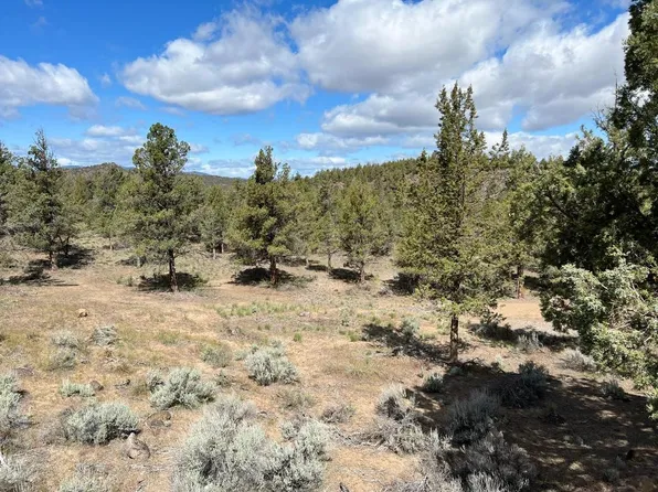 9-2 Mountain Wood Dr Lot 312, Weed, CA 96094