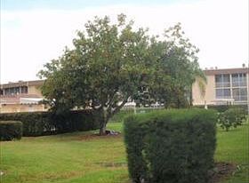 4th image of 600 Village Green Ct APT 103