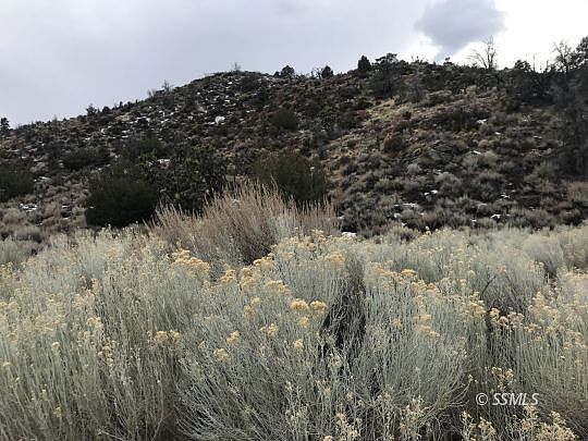 3rd image of Isabella Walker Pass Rd #178