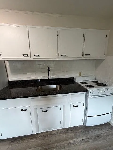 1 bed, 1.0 bath, 550 sqft, $1,450 — Photo 2