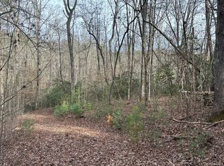 3.11 White Pine Way, Ellijay, GA 30540