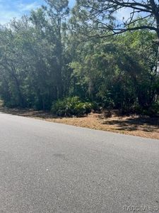 (Undisclosed Address), Homosassa, FL, 34446