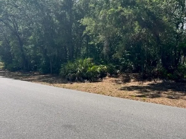 (undisclosed Address), Homosassa, FL 34446