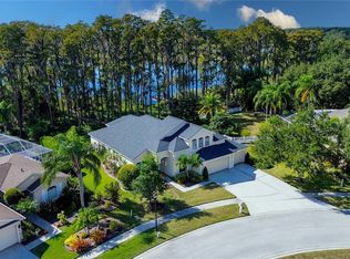 13815 Chandron Dr, Odessa, FL 33556