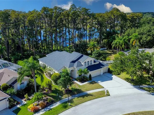 13815 Chandron Dr, Odessa, FL 33556