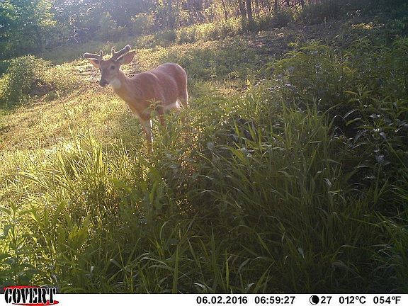 5th image of Xxx Xxx Union Grove Twp