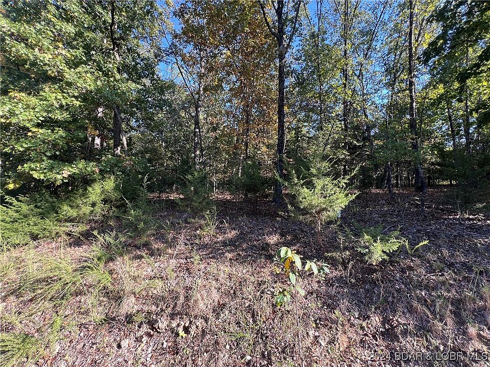 1st image of 1229 Spring Creek Dr