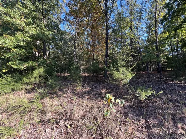 1229 Spring Creek Dr, Sunrise Beach, MO 65079