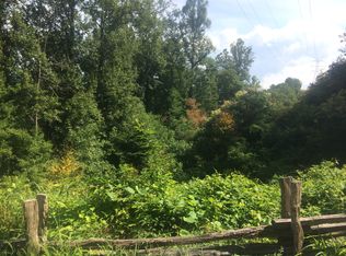 00 Carrie's Vale, Bryson City, NC 28713