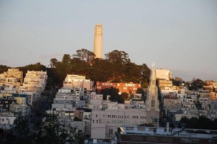 Coit Tower Views