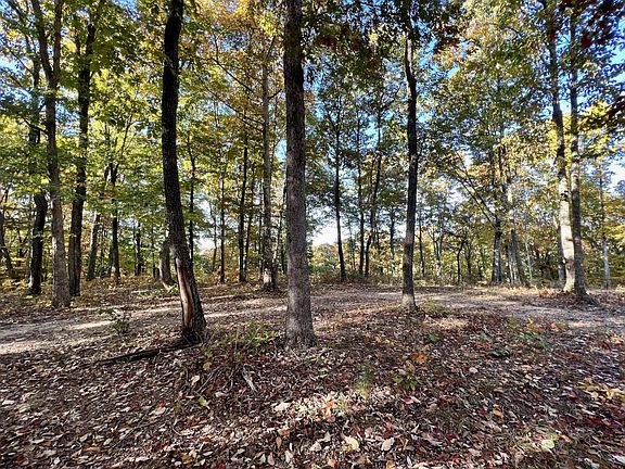 5th image of 281 Sunset Bluff Way Lot 31
