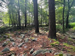 D40 Chestnut Rd, Lake Harmony, PA 18624