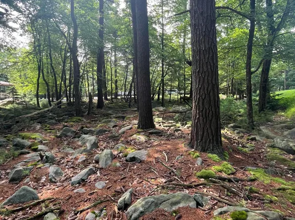 D40 Chestnut Rd, Lake Harmony, PA 18624