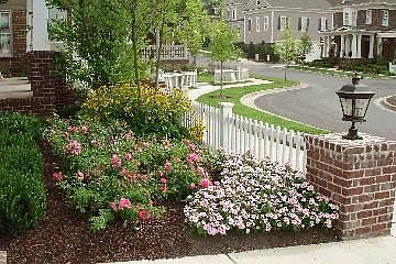 2nd image of 536 Ardmore Pl
