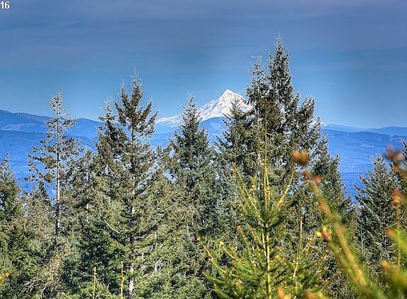 2nd image of 24 Five Peaks Dr