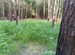 9653 Attala Rd #2247, Ethel, MS 39067