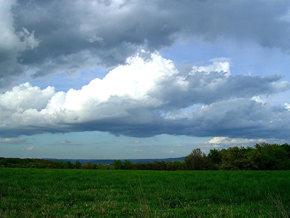 2nd image of Tony Mountain Road