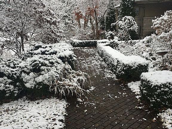 Main entry brick walkway 