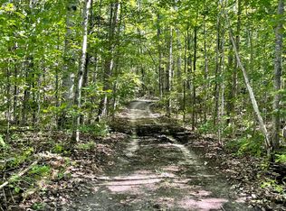 Dunham Rd, Wolverine, MI 49799