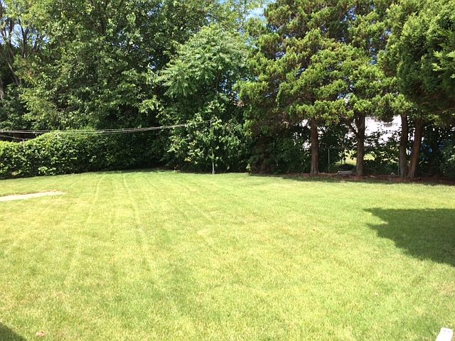 Rear Yard