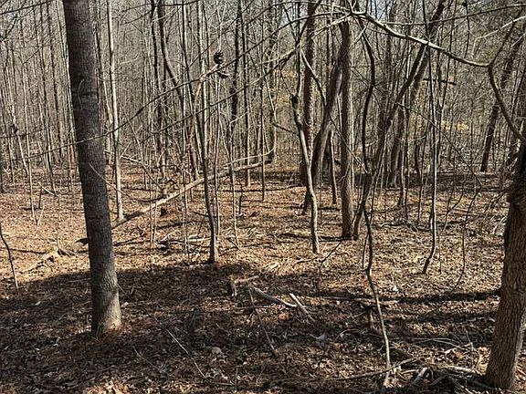 2nd image of 355 Beech Dr