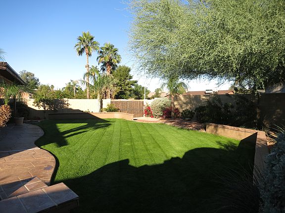 Lush backyard.