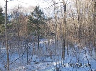 0 Acres Hopeson Rd, Little Falls, NY 13365