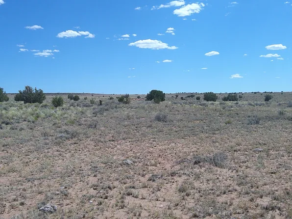 8356 Holly Trl, Snowflake, AZ 85937