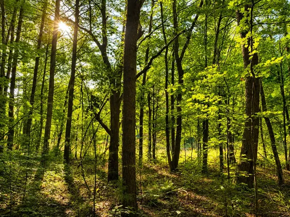 0 Three Point Rd Lot 1-3, Tellico Plains, TN 37385