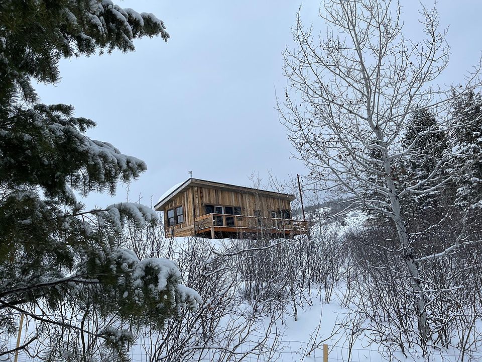Cabin viewed from the woods below