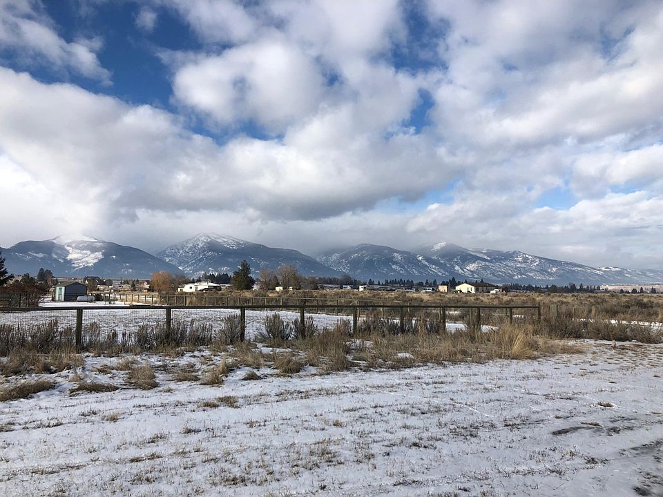 view north