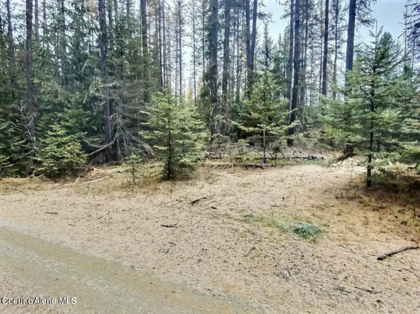Nka Tanglewood Dr, Priest River, ID 83856