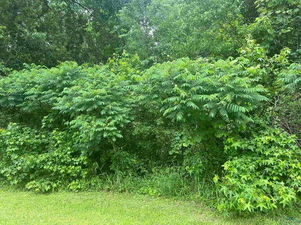 417 Yates St, Marshall, TX 75672