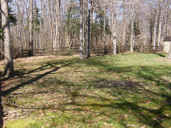 back yard, backs to woods, private!