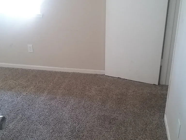 2412 Olive St #6 — Photo 4
