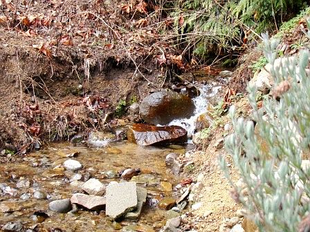  Small Seasonal Creek 