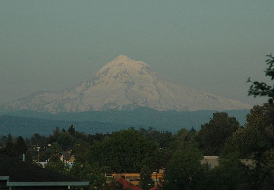 Living Room View