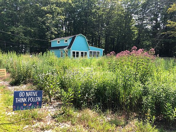 owner passionate about growing native NH pollinating plants