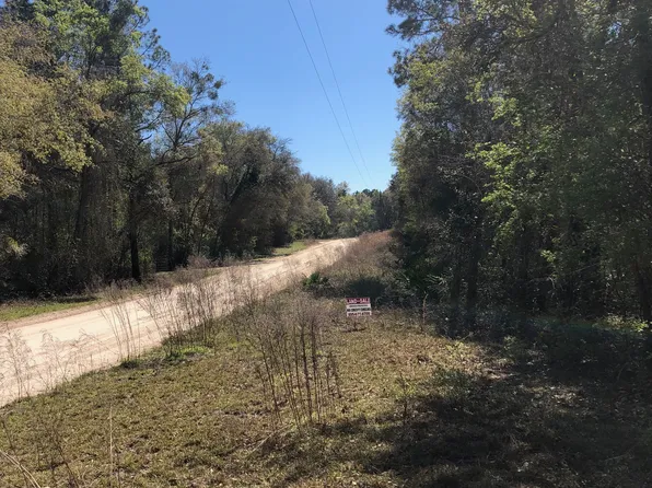 NE Withla Bluffs Way, Lee, FL 32059