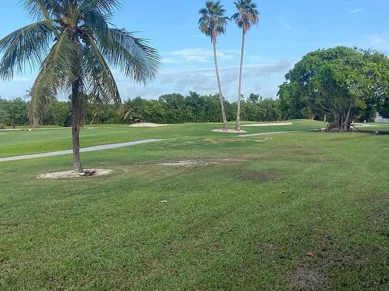 113 Golf Club Dr — Photo 36