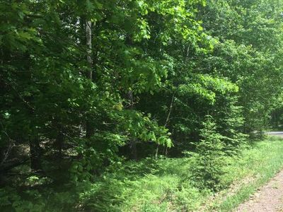 ON Perch Lake Rd, Eagle River, WI, 54521