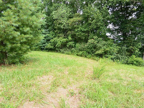 4th image of Indian Hills Ests Lot 21