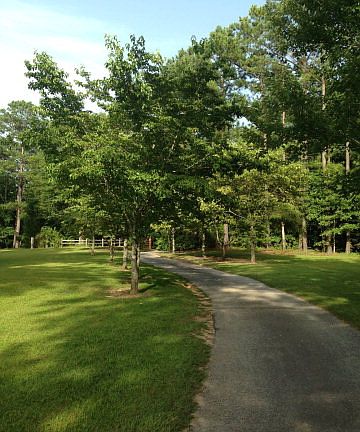 2nd image of 282 Lee Road 116