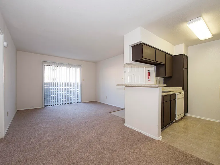 2911 Sycamore Springs Dr — Photo 38