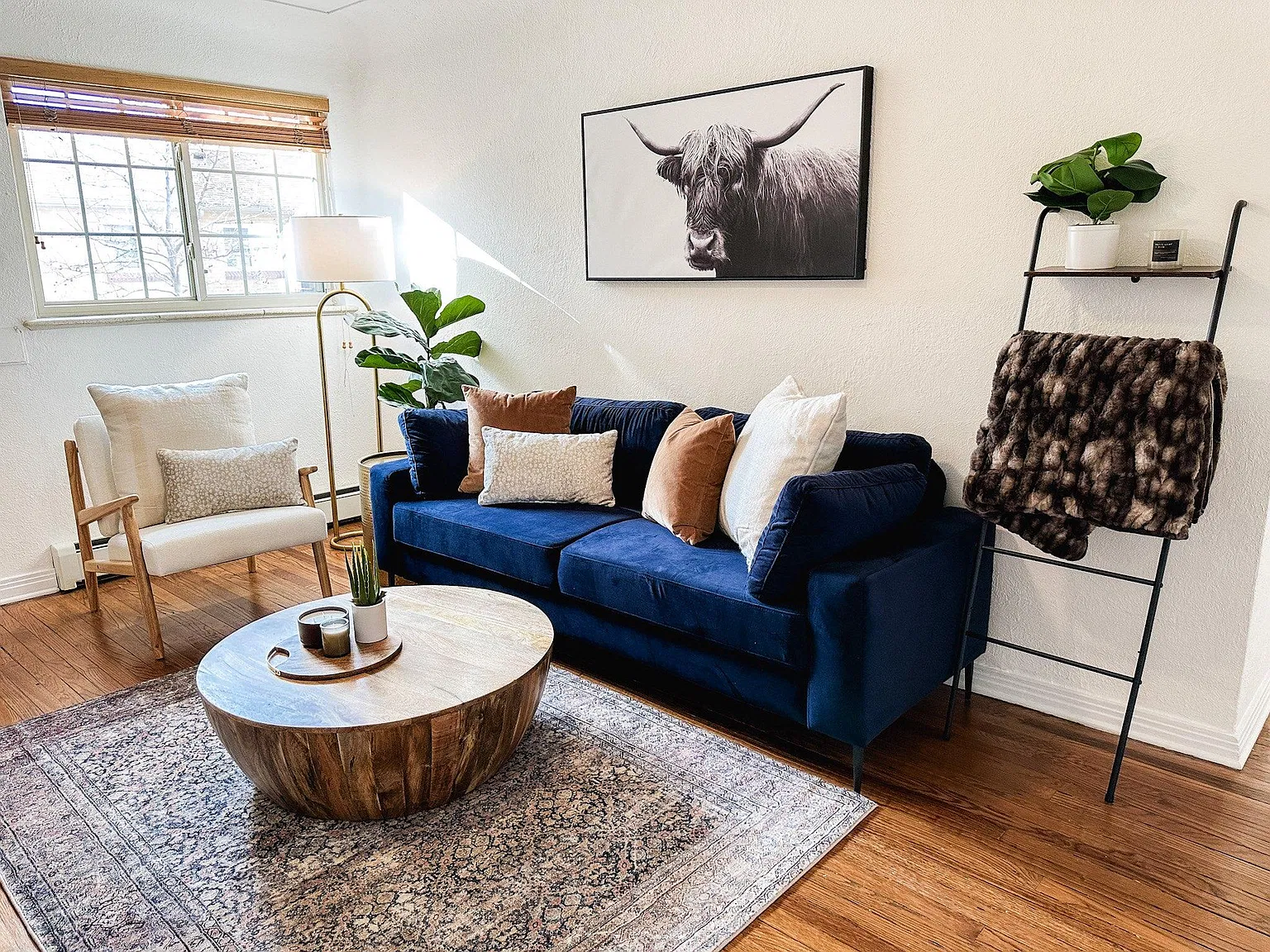 1 bed, 560 sqft, $3,000 — Photo 1