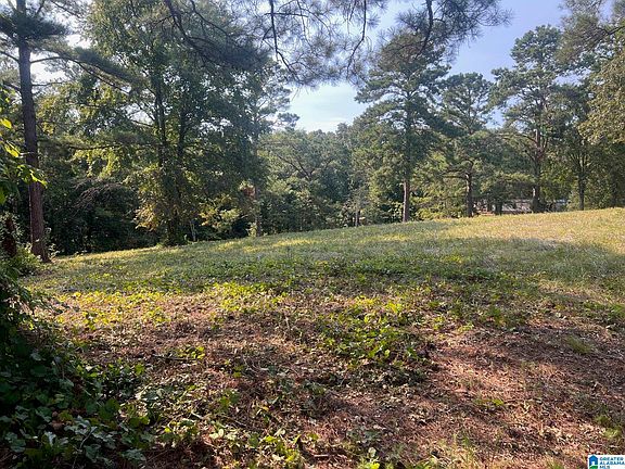 0 Funderburg Bend Rd #0, Pell City, AL 35128 | MLS #1356147 | Zillow