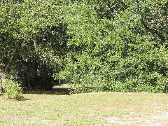 Side Yard