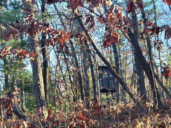 3rd image of 27 Owens Dr