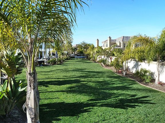 Rear yard view of home